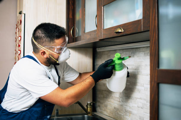 Best Pest Inspection Near Me  in Toppers, OK