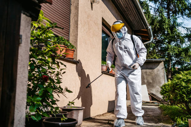 Best Ant Control Services  in Toppers, OK