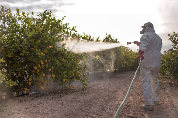 Best Pest Removal Services  in Toppers, OK