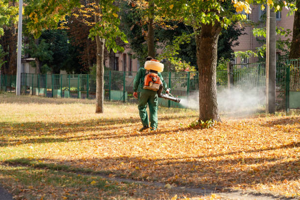Best Affordable Pest Control Services  in Toppers, OK