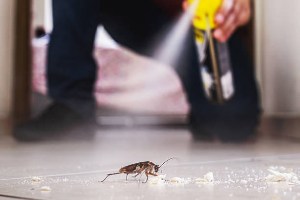 Best Rat Extermination Near Me  in Toppers, OK